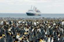 Foto del Clipper Adventurer y miles de pinguinos a la espera
