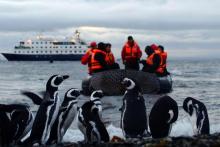 Pasajeros acercándose a una manada de focas patagónicas