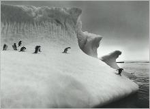 Bonita fotografia a blanco y negro de la antartida