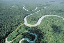 Crucero por el Amazonas Vista aérea del río Amazonas