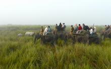 Safari por el Parque Nacional de Kaziranga