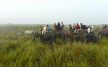 Crucero por el río Brahmaputra Safari por el Parque Nacional de Kaziranga