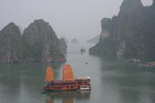 Imagen del Ginger Halong 