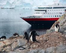 Imagen de un crucero antártico