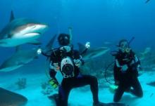 Imagen de dos submarinistas en las islas Caiman