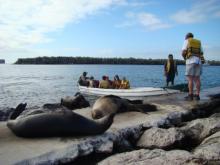 Imagen de una excursión en las Galápagos