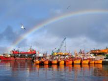 La terminal de Mar del Plata está cada vez más cerca Foto de Mar de Plata