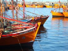 La terminal de Mar del Plata está cada vez más cerca Embarcaciones en el puerto de la Plata