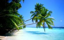 Foto de una playa del mar caribe