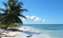 Imagen de una playa del mar caribe