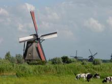 Uno de los molinos de Kinderdijk