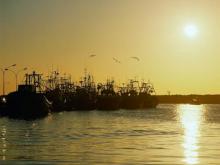 Imagen de un crucero por Castellon