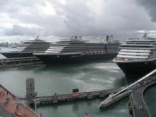Foto de varios buques de la naviera Holland America