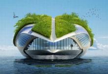 Fotografia del Physalia