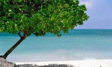 Puerto Rico – Un fantástico destino del caribe Imagen de una playa de Puerto Rico