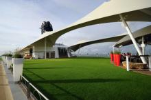 El Celebrity Equinox El famoso Lawn Club con césped natural