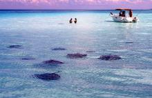 Imagen de las islas Cayman