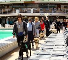 Perros guia en crucero