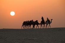 Imagen de camellos caminando por el desierto de Túnez