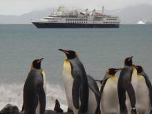 Viajar en crucero a la Antártida será más exclusivo que nunca Cruceros por la Antártida