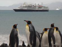 Cruceros por la Antártida