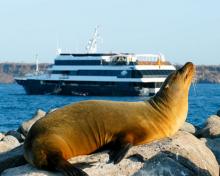 cruceroislasgalapagos1