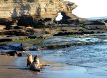 cruceroislasgalapagos3