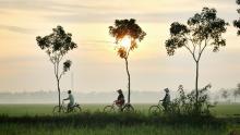 Cruceros por Indonesia