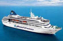 Crucero Quail Gemini 