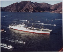 ns savannah